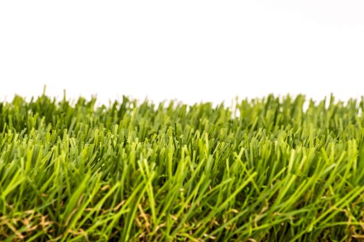 Fresh green grass isolated on white background