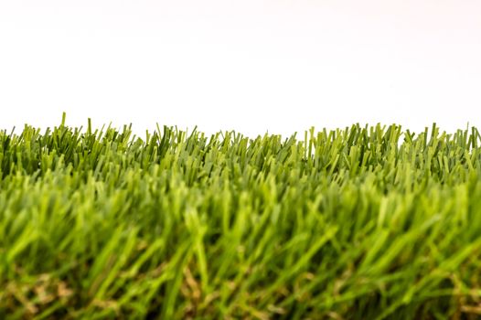 Fresh green grass isolated on white background