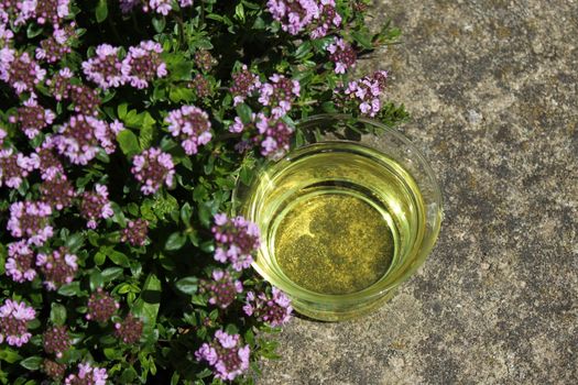 The picture shows thyme tea and blossoming thyme