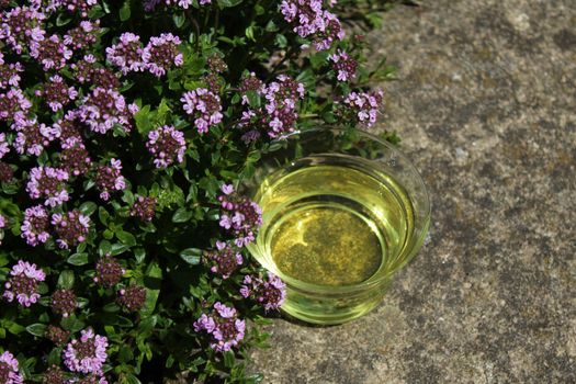 The picture shows thyme tea and blossoming thyme