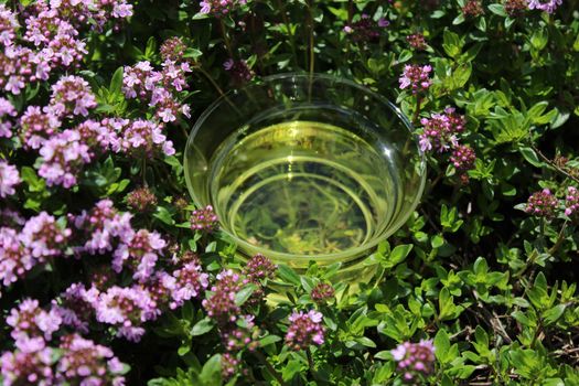 The picture shows thyme tea and blossoming thyme