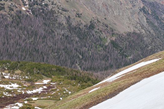 A sign on the side of a mountain. High quality photo