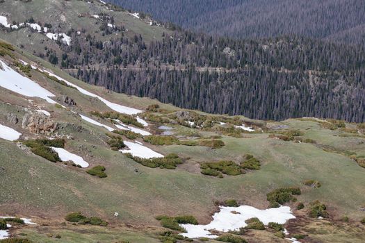 Snow covered Colorado Mountains in the summer 