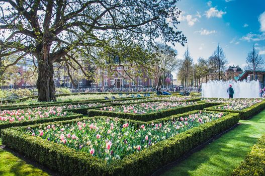 The Rijkmuseum and its gardens and its surroundings in Amsterdam in the Netherlands