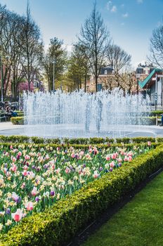 The Rijkmuseum and its gardens and its surroundings in Amsterdam in the Netherlands