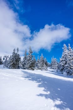 Krkonose mountains covered with snow, frozen trees. The highest peak Snezka in the background. Blue sky with white clouds.