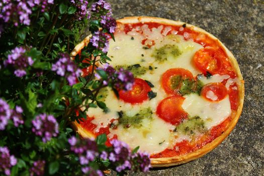 The picture shows a pizza on a thyme field