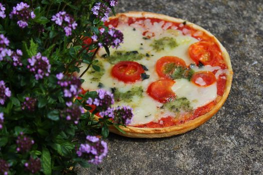 The picture shows a pizza on a thyme field