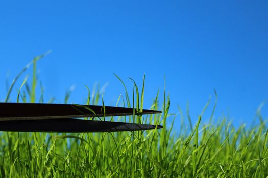 The picture shows grass and scissors in front of the blue sky