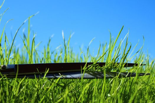 The picture shows grass and scissors in front of the blue sky