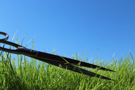 The picture shows grass and scissors in front of the blue sky