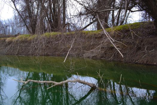 The banks of the Jianu arm covered by trees and plants in the winter season. Here in the local area of ​​the Jianu arm meadow (secondary arm of the Danube river, length, about 3.5 km) we find meadow forests and plants specific to meadow vegetation.
Travel to these natural, wild and picturesque places