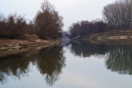The banks of the Jianu arm covered by trees and plants in the winter season. Here in the local area of ​​the Jianu arm meadow (secondary arm of the Danube river, length, about 3.5 km) we find meadow forests and plants specific to meadow vegetation.
Travel to these natural, wild and picturesque places