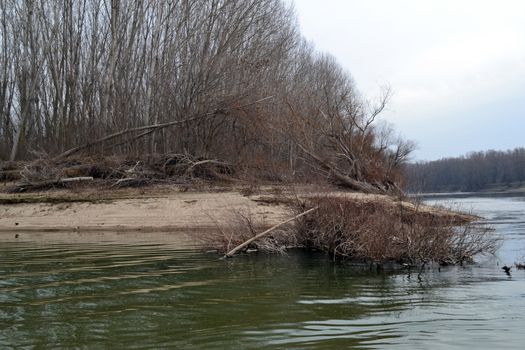 The banks of the Jianu arm covered by trees and plants in the winter season. Here in the local area of ​​the Jianu arm meadow (secondary arm of the Danube river, length, about 3.5 km) we find meadow forests and plants specific to meadow vegetation.
Travel to these natural, wild and picturesque places