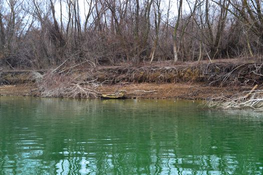 Fishing for predators on the arms of the Danube on a cold January day (here picturesque places on the Jianu arm)
Travel to these natural, wild and picturesque places
