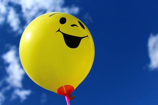The picture shows a funny balloon in front of the sky