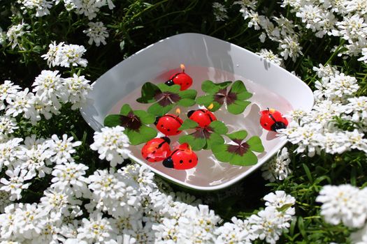 The picture shows ladybird candles and lucky clover in a bowl