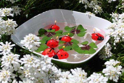 The picture shows ladybird candles and lucky clover in a bowl