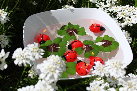 The picture shows ladybird candles and lucky clover in a bowl