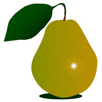 A typical English pear isolated on a white background