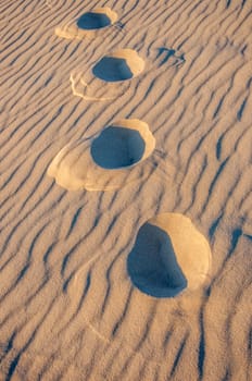 setting sun on the pillat dune in the Arcachon basin, France