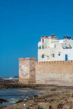 travel in the culture of North Africa, Morocco in summer