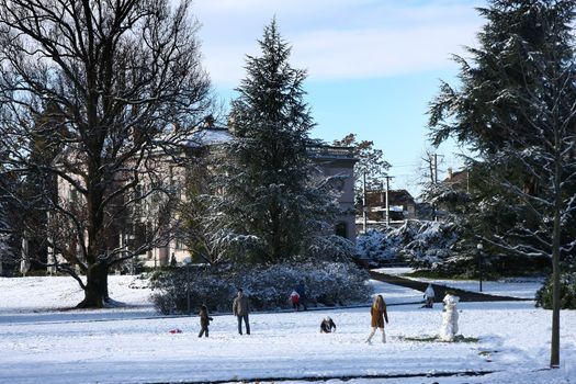 public park with church in Cham, Switzerland with tree and snow and blue sky