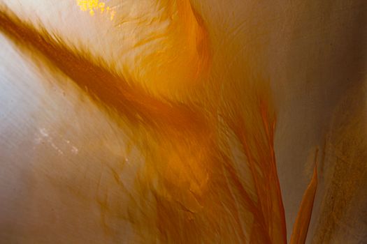 Orange back ground for various designs with copy space