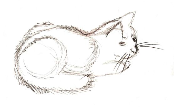 Black and white isolated cat sketch illustration on white background. A lies cat that is drawn with a simple pencil.