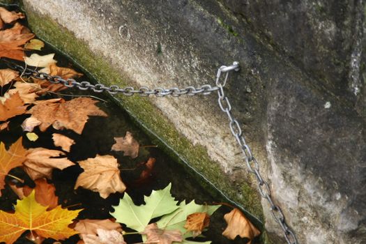 autumn leafs in water with chain, Yellow and orange leafs