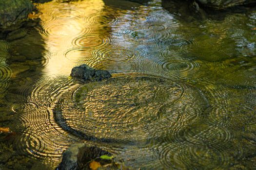 water with sun reflection with circles with rings in water