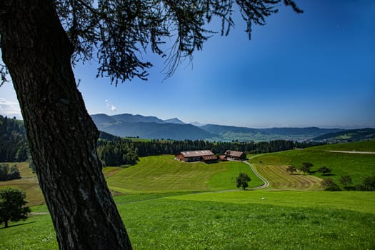 panoramic view of the swiss valley, aegerital. with tree, grass and blue sky