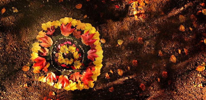 Local kids did a design in the forrest with colored leaves
