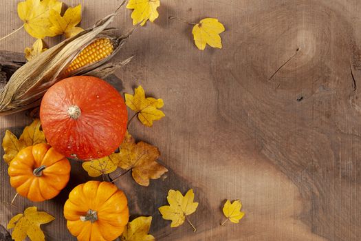 thanks giving setting with leafs and pumpkins on a wooden background shot from above