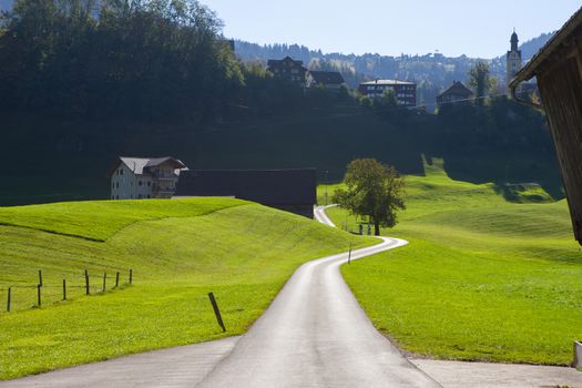 country road leading into horizon during daylight with green grass and blue sky