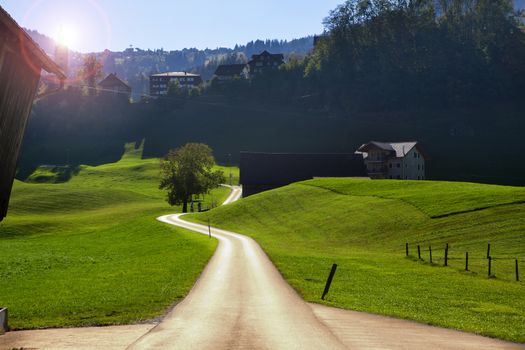 country road leading into horizon during daylight with forrest grass and Blue sky