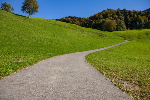 curvy country road leading into horizon during daylight with trees and green grass