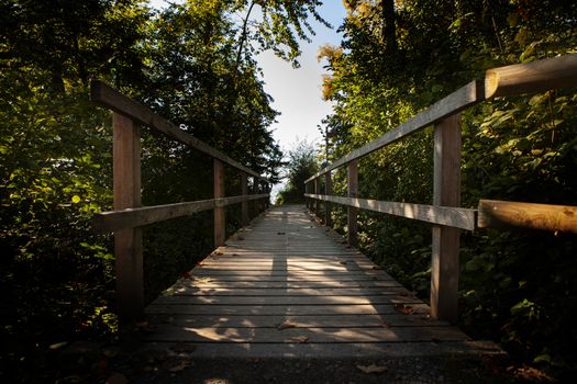 old wooden bridge across a stream in nature with converging lines leading into the horizon