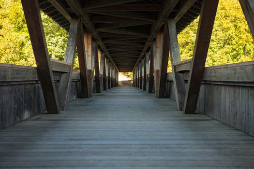 old wooden bridge in nature with converging lines leading into the horizon