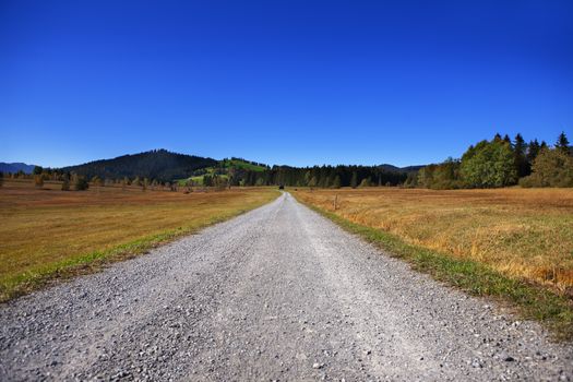 dirt road leading going into horizon in a flat spot in Switzerland