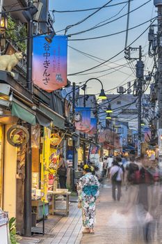 Retro old-fashionned shopping street Yanaka Ginza famous as a spectacular spot for sunset and also named the Evening Village. Yanaka's mascot is a cat named Sen whose carvings on the roofs can be seen.