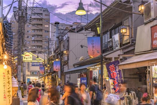 Retro old-fashionned shopping street Yanaka Ginza famous as a spectacular spot for sunset and also named the Evening Village. Yanaka's mascot is a cat named Sen whose carvings on the roofs can be seen.