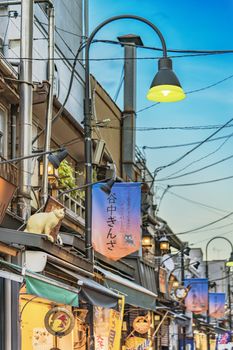 Retro old-fashionned shopping street Yanaka Ginza famous as a spectacular spot for sunset and also named the Evening Village. Yanaka's mascot is a cat named Sen whose carvings on the roofs can be seen.