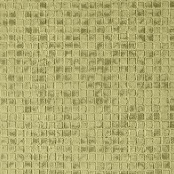 Abstract grungy decorative texture. Textured paper with copy space. Motley green paper surface, texture closeup.