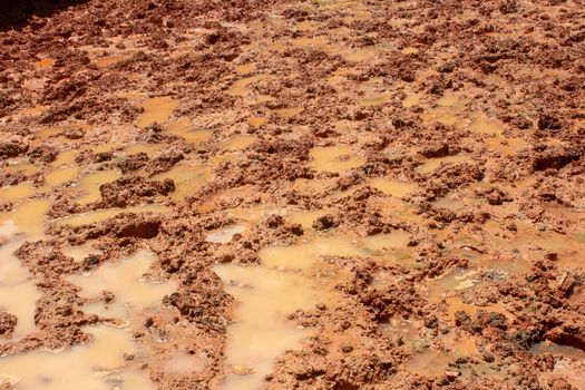 Puddles after heavy rain on a stockyard. The soil is red.