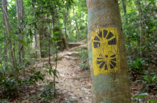 Sign indicating the way for Transcarioca Trail at Tijuca Forest, Rio de Janeiro