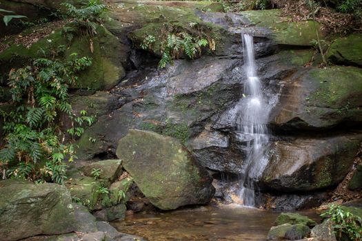 Thin waterfall at a trail located on Tijuca Forest, Rio de Janeiro