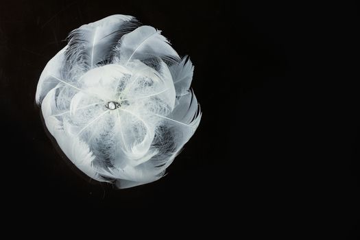 An extreme close-up / macro photograph of a detail of a soft white feather, black background.