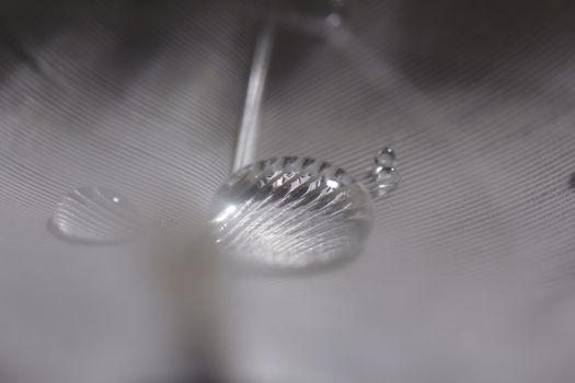 An extreme close-up / macro photograph of a detail of a soft white feather, black background. with a single water drop