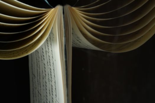 Close-up of book pages and spine. Open Book pages flipped through held upside down